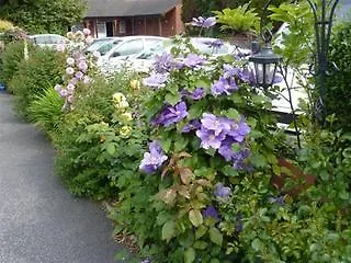 Lavender Lodge Chester Bed & Breakfast